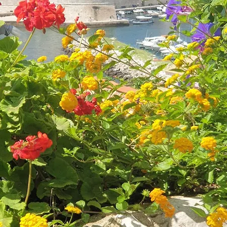 Garden Marina 3*
