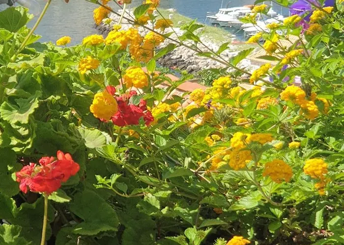 Garden Marina 3*